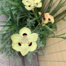 それを言っちゃあ