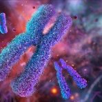 あるけまや　－考古学・歴史ニュース－