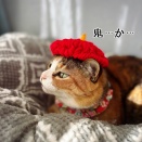 2026 節分　５年目の鬼ヅラ