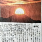 気まぐれな脳細胞