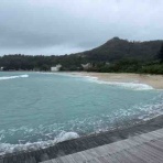 小笠原父島　オガツアーのブログ３