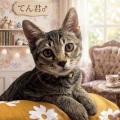 甘えん坊キジーズ😍