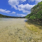 知床と八重山の風景
