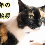『2021年のご挨拶』の画像