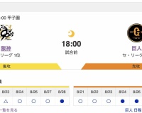 【虎実況】[8月29日] 阪神 vs 巨人（甲子園）22回戦　18:00～