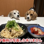 ガオだらけな日々　