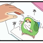 えるポピ・ハッピーオタクライフ