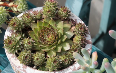 『【ピノコ日記】台風14号に備えて早めの対策を行いました』の画像