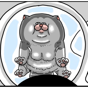 寝室では急に性格真逆になる猫たち : まめきちまめこニートの日常