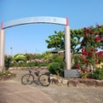 バラ園（駕与丁公園）