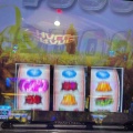 ふらっと寄って、打って勝つ