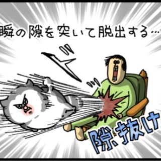 まめきちまめこニートの日常