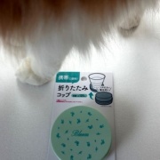 セリアの折りたたみコップと昭和の「水を飲むな」という話