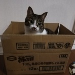 ５０代大人女子。ただいま人生模索中！