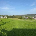 ハウジングプロモーション川田のブログ