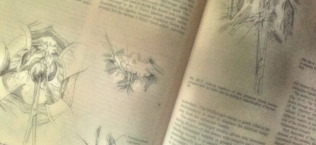 14年05月 訪問診療医の徒然日誌 V2