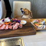 『ライフワークバランス』の画像