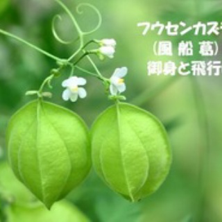 田舎記者の手帳