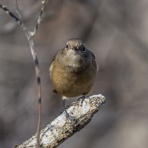 神戸の玉手箱 Vol３