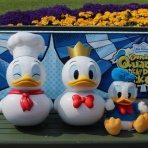 ぼっちディズニーの備忘録