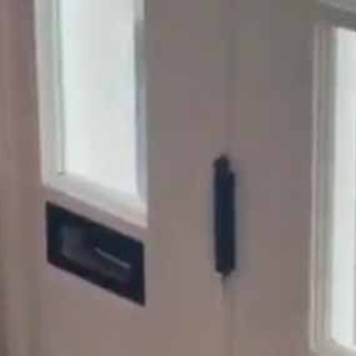 猫の動画 ねこわん！