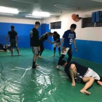 ブラジリアン柔術 修斗 総合格闘技道場 パラエストラ和泉blog