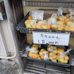 udi's blog