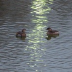 きららきらら☆