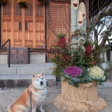 �����ޤ��Ƥ���ǤȤ��������ޤ�