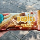 やっぱり普通のがいいね。パピコ