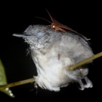 (教室すぐ横に駐車場あります) 三重県四日市・オンライン・名古屋金山・桑名・菰野・鈴鹿韓国語教室　ハングル語学堂四日市校 ブログ(無料Wi-Fiもあります)