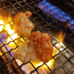 地平線のレセフェリア
