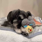 くーちゃんのHappy Diary