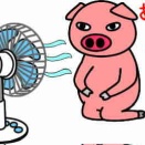 暑いですが…