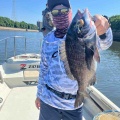 ボトムチニング始めました🎣