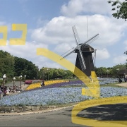 鶴見緑地公園 7/26「夏の丘＃1」🌻風車のパース 羽根に四苦八苦