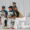 数年前まで陽、中田、糸井という凶悪な外野陣持ってたチームがあるらしい