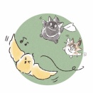 ひよこちゃん、もといカナリヤさんとお別れ