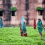 【インド】強姦被害の女性、出廷途中に被告らに襲われ火を付けられ死去・・・