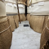 『春は近い!』の画像