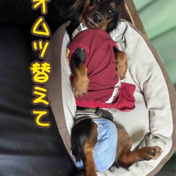 今日は1枚。