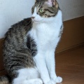 そら君　いっぱい