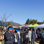 ターシャの布しごと＆花だより