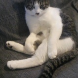 �ص�ƻ���������ʳ����� �����λ����ξ����������ѡ��٤β���