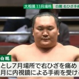 ãç»åãæ¨ªç¶±ç½éµ¬ã®ç´è»å¼ãã¨ããããããããããï¼