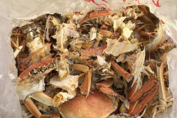 五時脱自ブログ 中国のガーデニング