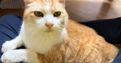 ボケたか？
