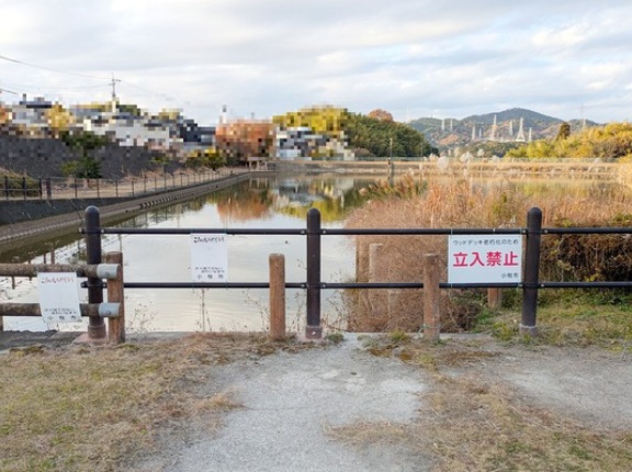 鷹ヶ池のウッドデッキ園路が無くなってる（小牧市野口）