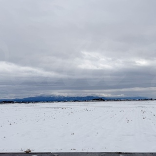 Tedious diary more x4