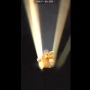 【動画】『ポケモンGO』でパモットの首が90度にボキっと折れるバグが怖すぎるｗｗｗｗｗｗｗ